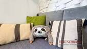 Bild 22 - 