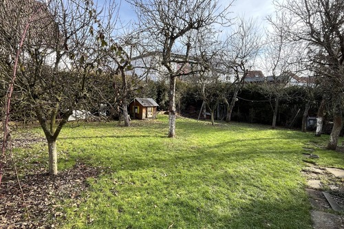 Garten mit Baumbestand - 