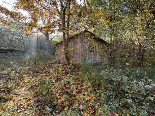 Nebengebäude - Einfamilienhaus mit 216,00 m&sup2; in Eisenberg zum Kaufen
