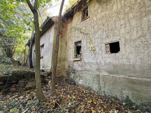 seitliche Hausansicht - 