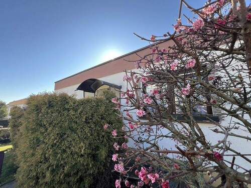 Bild2 - 3 Zimmer Einfamilienhaus zum Kaufen in Strehla