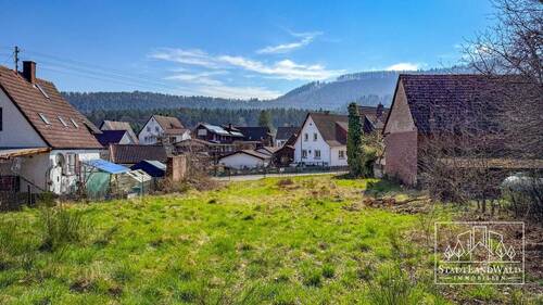 Blick vom Bauplatz auf den Maimont - 