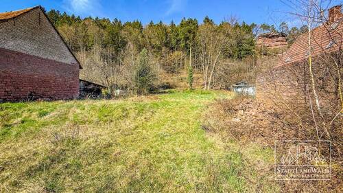 Blick auf den Bauplatz und Waldrand - 