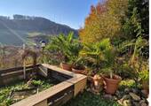Bild 15 - 