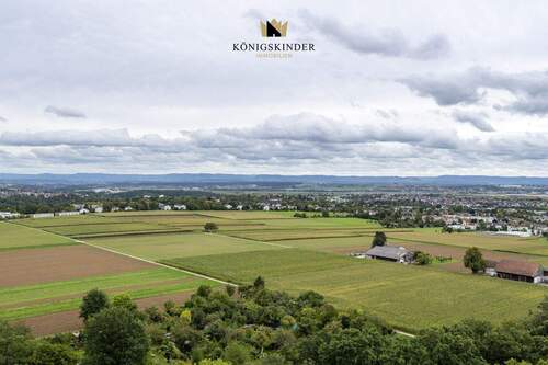 Einfach den Ausblick genießen... - 