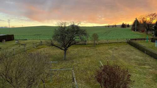Blick aufs Grundstück - 