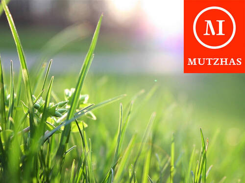 Bild 1 - MUTZHAS - Baugrundstück mit hohem Baurecht in Bestlage Neubiberg