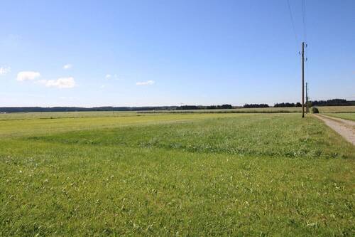 Grünland - Grundstück in Unteregg