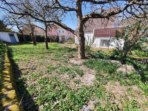 Großer Garten mit Obstbäumen - 