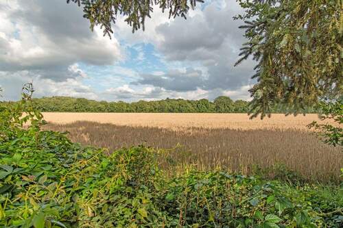 Direkte Lage am Getreidefeld - 