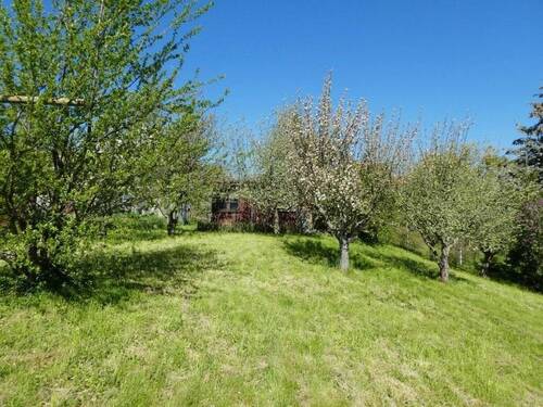 in leichter Hanglage - 3 Zimmer Einfamilienhaus in Müglitztal