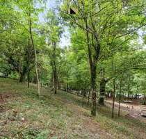 Wenn die Natur erwacht, wartet Ihre Freiheit: Ihr 1.785 m² Südhang-Paradies für Selbstversorger - Ostfildern Kemnat