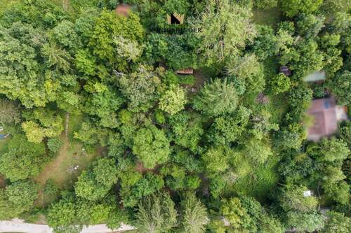 (Sing-)Vogelperspektive - 