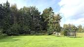 Garten mit Waldstück - 