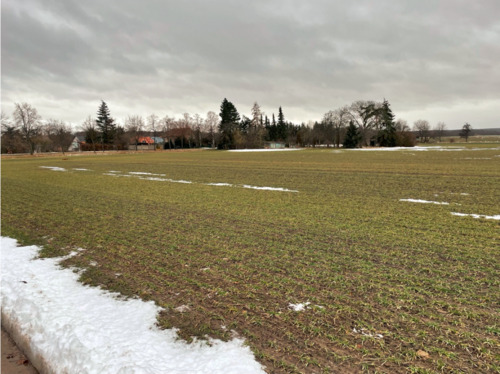 Raumwunder 100 - Vorschau Grundstück - 