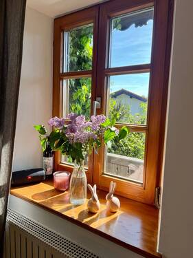 Blick zum Fenster.jpeg - 