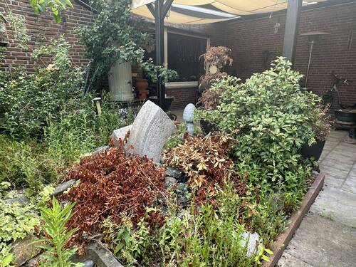 Terrassenbereich Rückseite - 