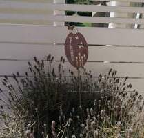 Ihr neues Zuhause mit Pool und fußläufig zum See - Markkleeberg