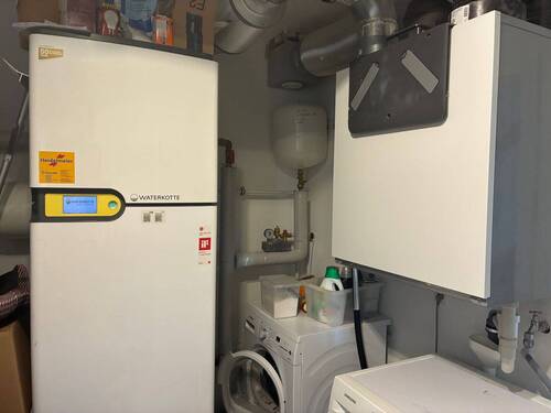 IMG_2254.jpeg - 