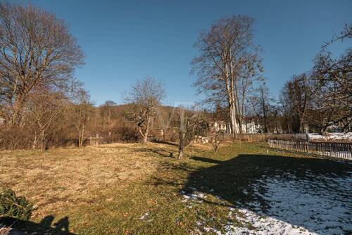 Bild (100) - 