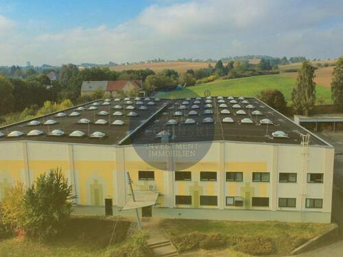 Folie1 - D16427 + Industriehalle in TOP-Zustand + Leerstehend + ca. 4.032 m² Nutzfläche + Zeulenroda-Triebes