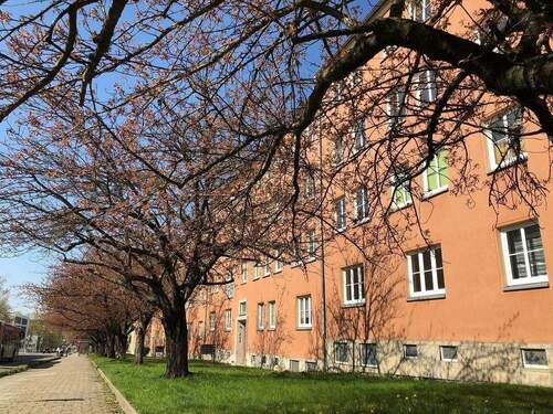 IMG_4810 - 2 Zimmer Etagenwohnung zur Miete in Chemnitz