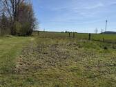 Blick vom Garten - 