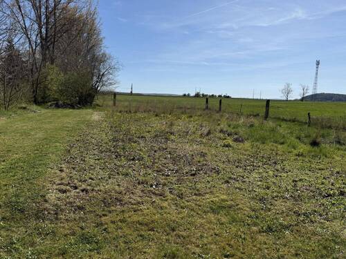 Blick vom Garten - 