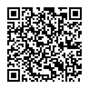 QR-Code - 