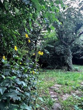 Grundstück - Ruhige, familienfreundliche Lage in Lichterfelde - schön eingewachsenes Grundstück mit Abrisshaus zum Bodenrichtwert