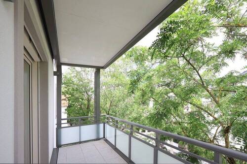 BALKON - BLICK INS GRÜNE - ... Paulusviertel mittendrin ...