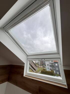 00c46480-7cc9-4968-8d21-8c55ad3a16cd.JPG - 