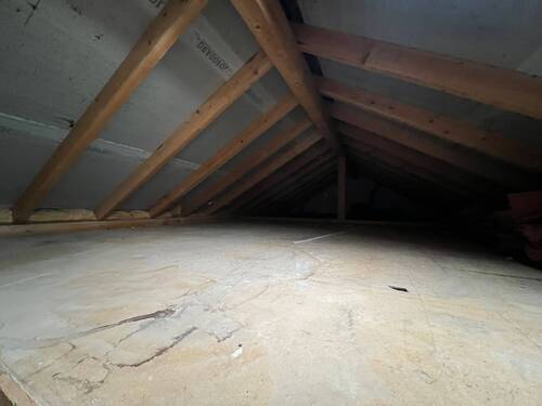 8ec20203-5b5f-48f3-9ad0-25b896dff5ed.JPG - 