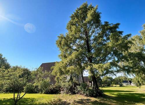 Grundstück - 3 Zimmer Einfamilienhaus in Hamburg