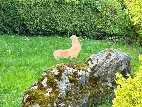 .. grüner Vorgarten ! - 