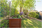Gartenimpressionen - 
