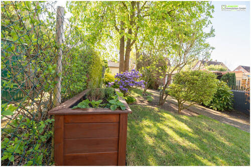 Gartenimpressionen - 