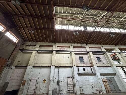 PHOTO-2025-08-20-17-55-08.jpg - 