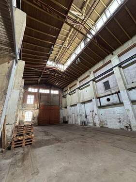 PHOTO-2025-08-20-17-55-11 (2).jpg - 