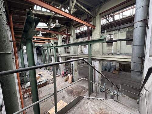 PHOTO-2025-08-20-17-55-09 (2) - Kopie.jpg - 