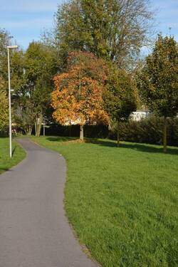 Auf der Vennbahn - 