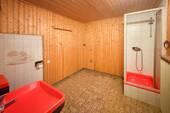 Gäste WC mit Dusche UG - 
