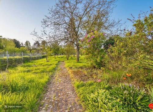 Gartenansicht - 
