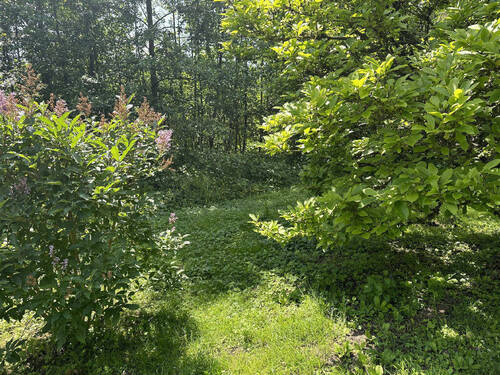 Garten - 