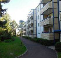 Gemütliche 2 Raum Wohnung im Grünen mit Balkon - Döbeln