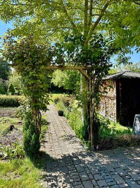 Blick in den Garten - 