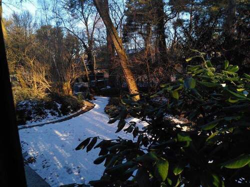 Teilstück des hinteren Gartens - 