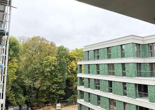 Ausblick - 