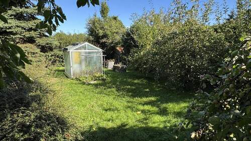 Garten mit Gewächshaus - 