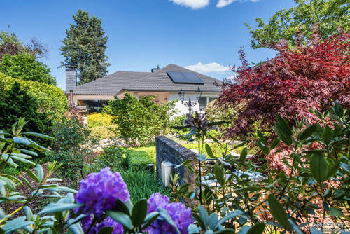 Blick vom Garten - 5 Zimmer Bungalow zum Kaufen in Heusenstamm / Rembrücken